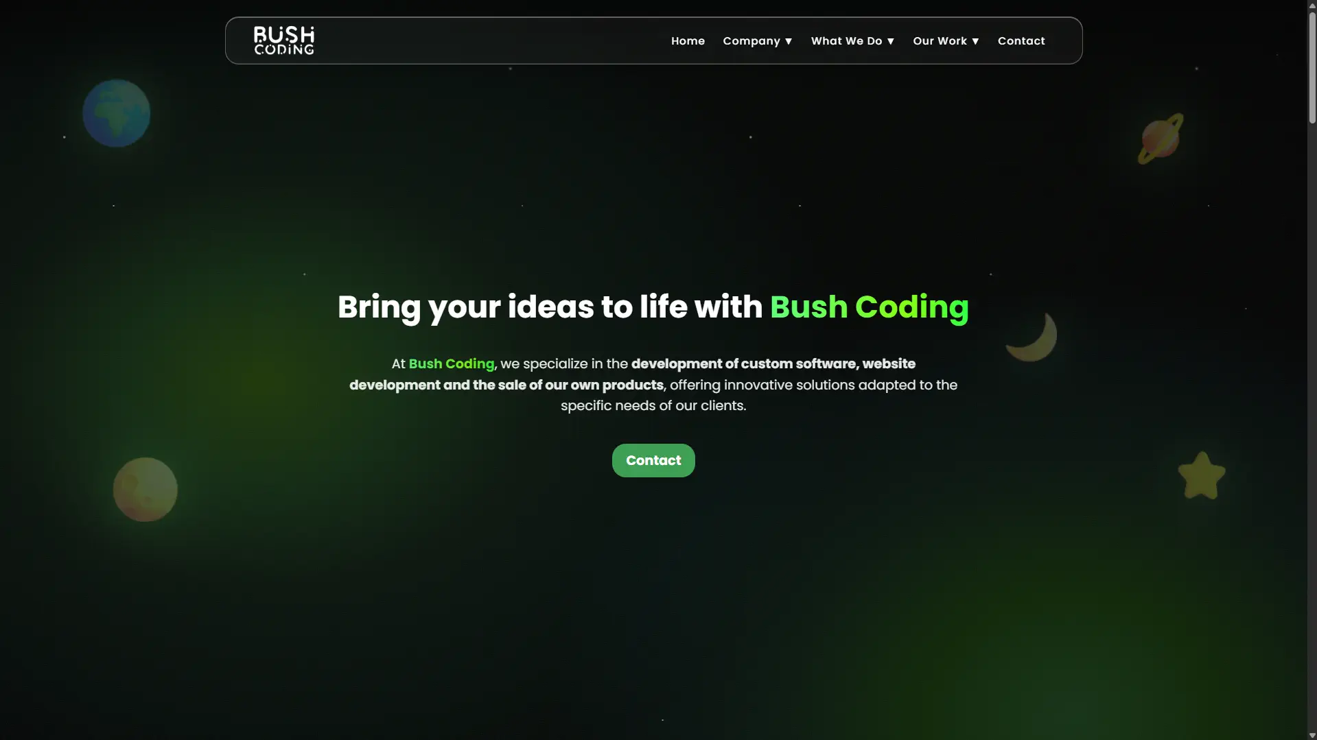 Bush Coding website screenshot