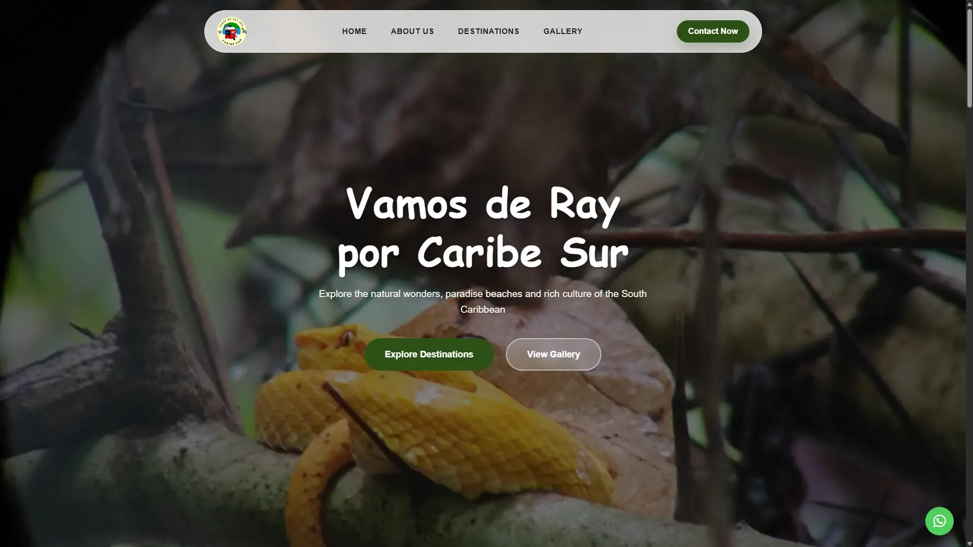 Vamos de Ray travel website screenshot
